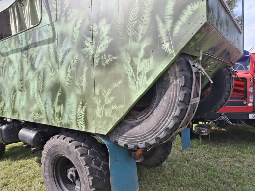 Une variante agréable du camouflage.