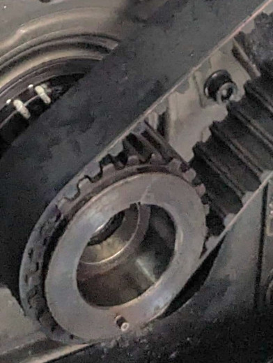 WhatsApp Image 2025-11-11 at 09.31.14.jpeg