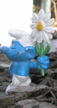 Tiens une fleur pour toi