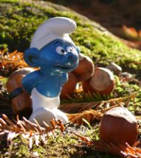 Je défends mes noisettes. Je défends mes noisettes.