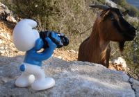 Shooter de chèvres Shooter de chèvres