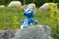 A l'herbe fraiche !