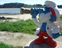 Je crois voir quelque chose là bas.